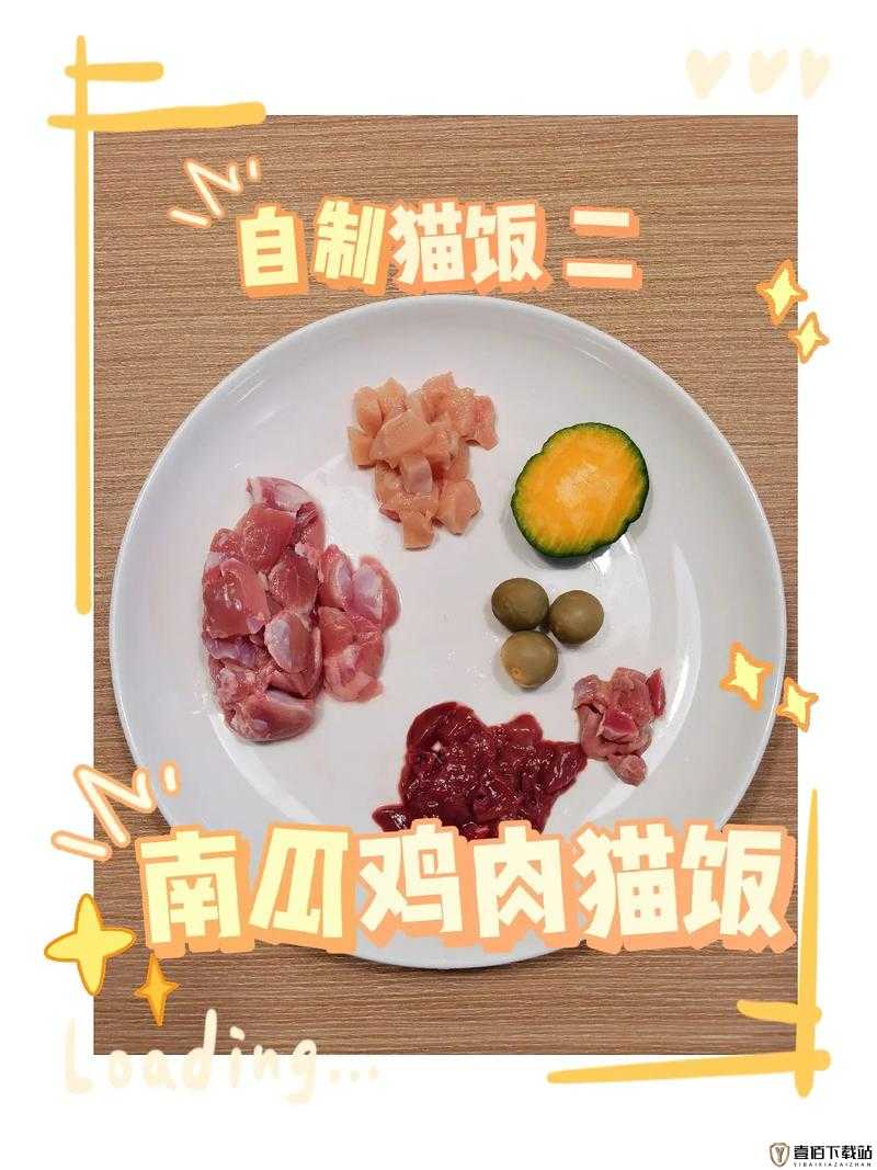 小森生活：猫盖饭的制作秘诀：从选材到烹饪，手把手教你做出美味的猫盖饭