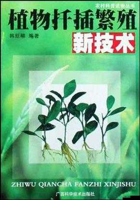 扦插 BB 有何益处：促进植物繁殖与生长