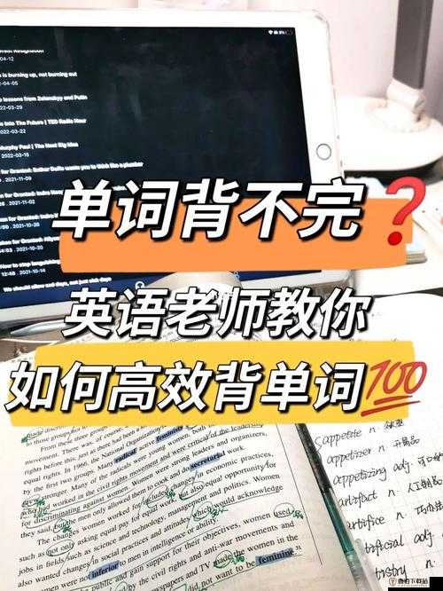 坐在学霸的大紫根上背单词高效又有趣