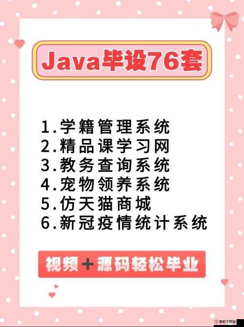 精品 JAVAPARSER 乱偷：深入探索其奥秘