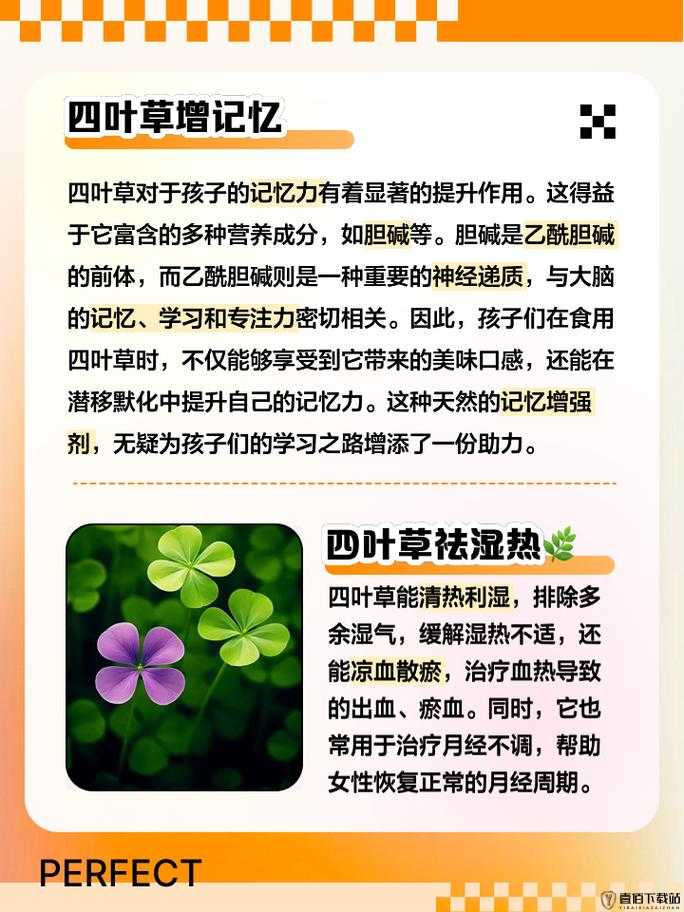 四叶草秘密研究所人口的秘密