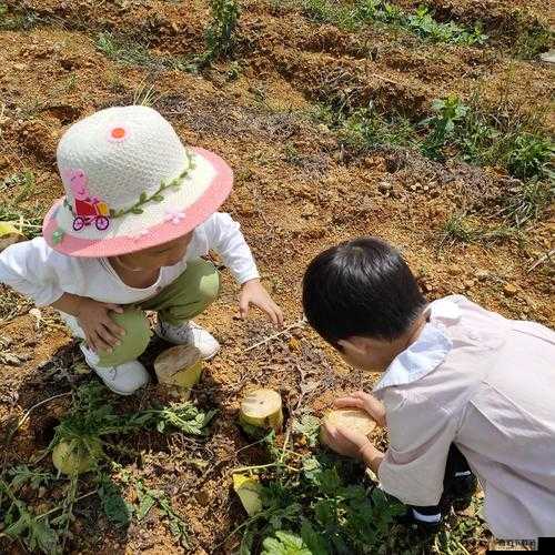 一小孩跟姐姐玩萝卜游戏：充满欢笑的时光