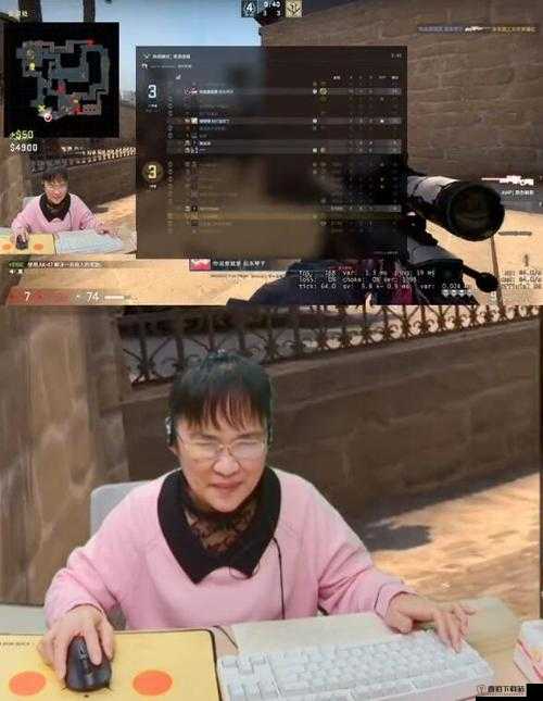 暴躁老阿姨 CSGO：游戏大冒险