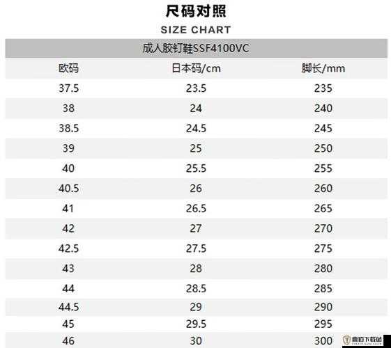 如何辨别日本尺码一码二码三码：方法解析