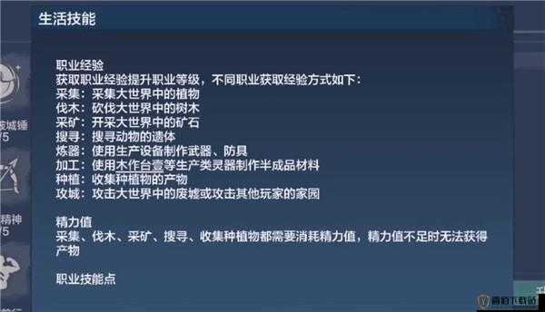 妄想山海升级攻城等级：全方位攻略教程，操作细节解析与实战经验分享，提升等级步到位