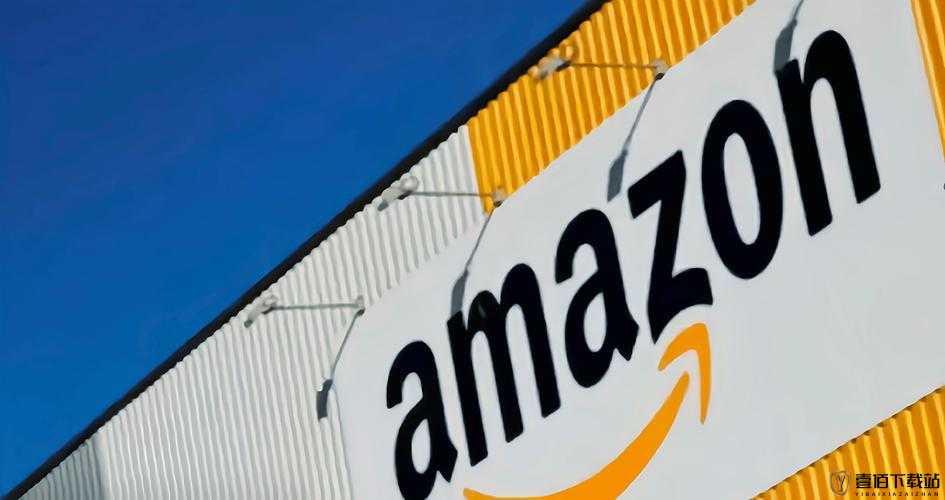 AMAZON 欧洲站、日本站：跨境电商新机遇