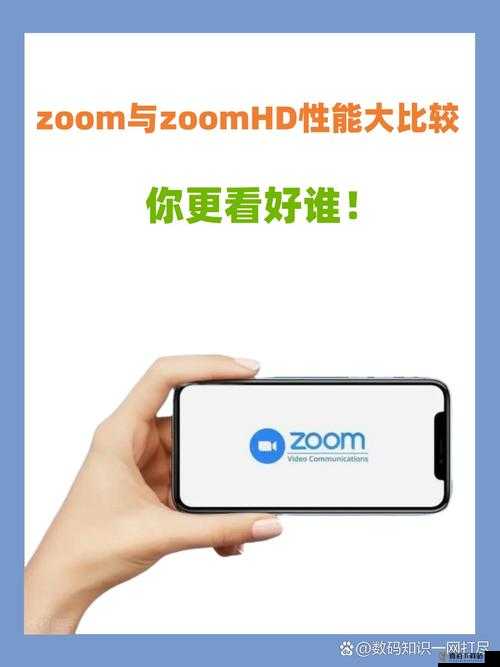 Zoom 人：ZoomZoomHD 区别差异解析