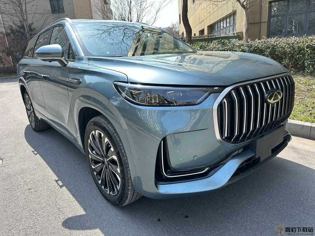 国产 SUV 精二区九色：高性价比的代表