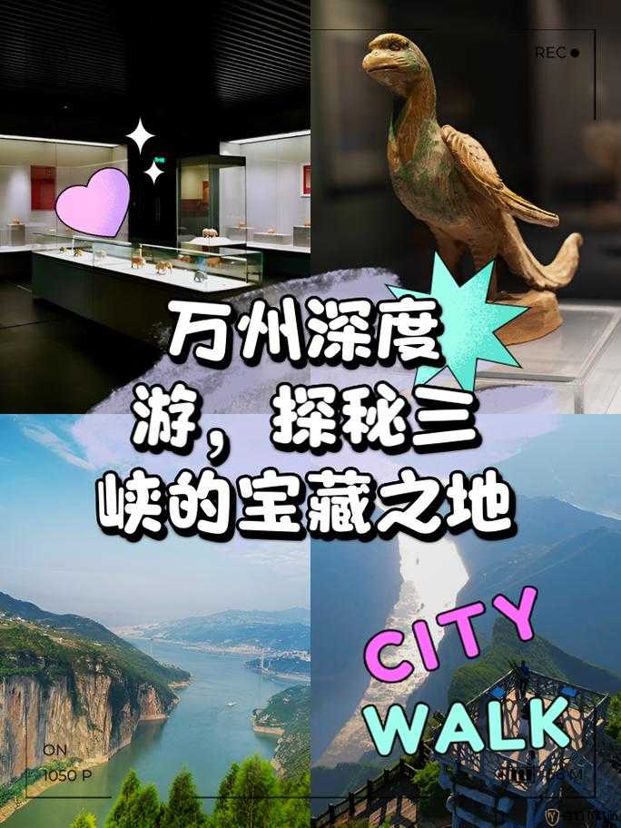 众生游小康之家地图攻略：深度探寻隐藏物品宝藏之旅