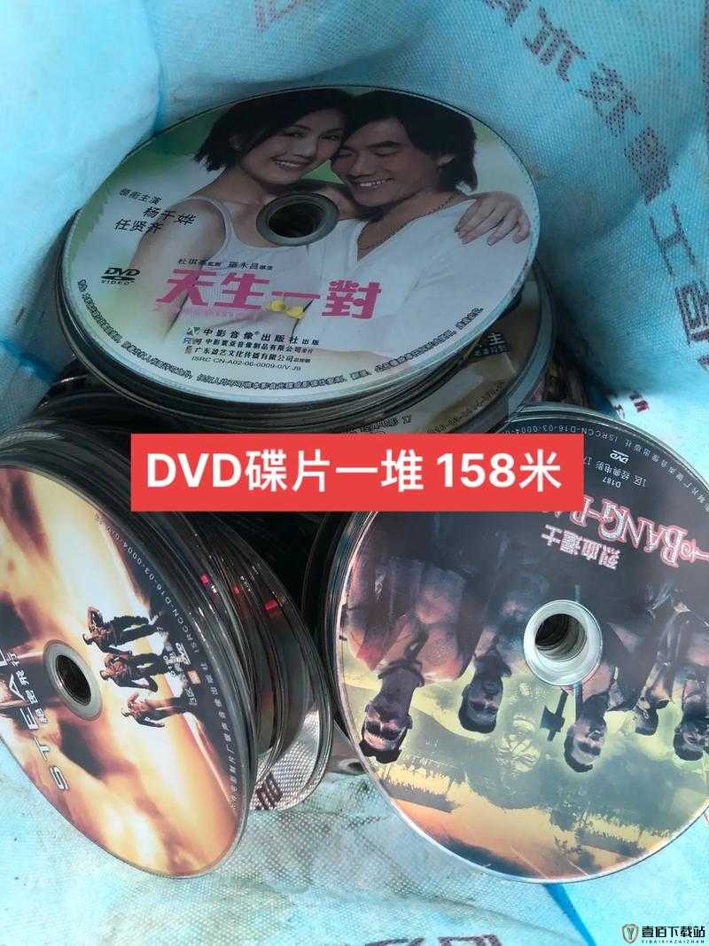 高清 DVD 碟片播放：家庭娱乐的绝佳选择