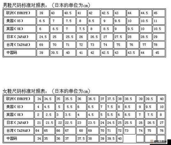 日本 L 码与中国码区别解析