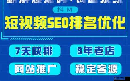 SEO 短视频网页入口网站推广内容分段式更新：持续优化，提升流量