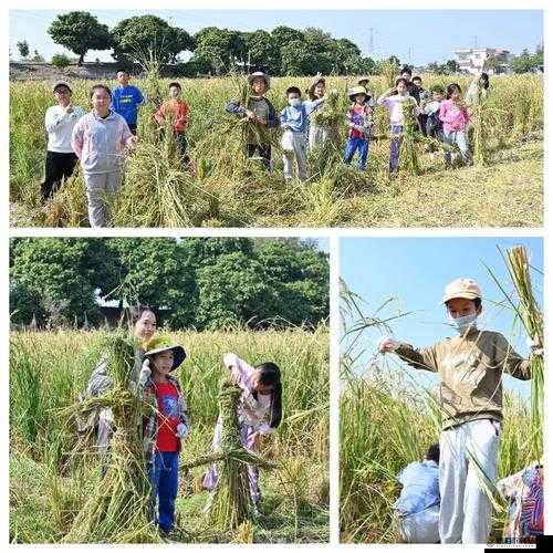 夫妻 108 种插秧法图片全揭秘