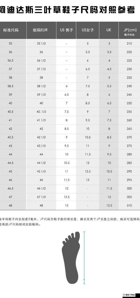 三叶草亚洲尺码和欧洲尺码区别分析