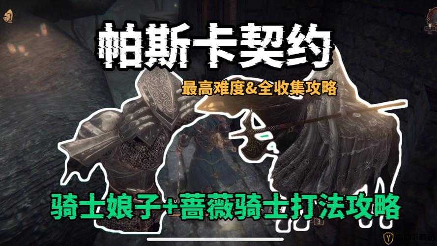 帕斯卡契约蔷薇骑士无卵无伤攻略详解：掌握技巧，轻松实现蔷薇骑士无伤挑战之路