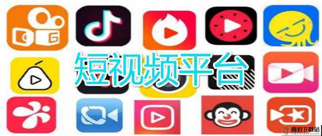 成品短视频 APP-精彩内容等你来看