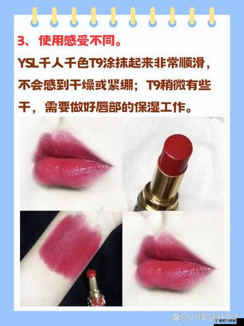 Ysl 千人千色 t9t9t9t9t-魅力独具的色彩密码