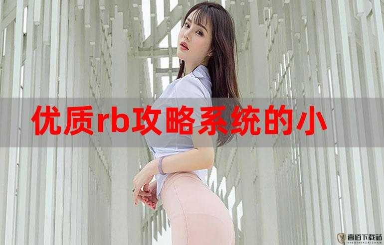 优质 rb 检测系统 王小熊：检测 rb 质量的专家