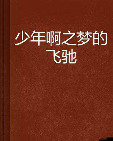 少年啊 BGM 起点中文网相关内容