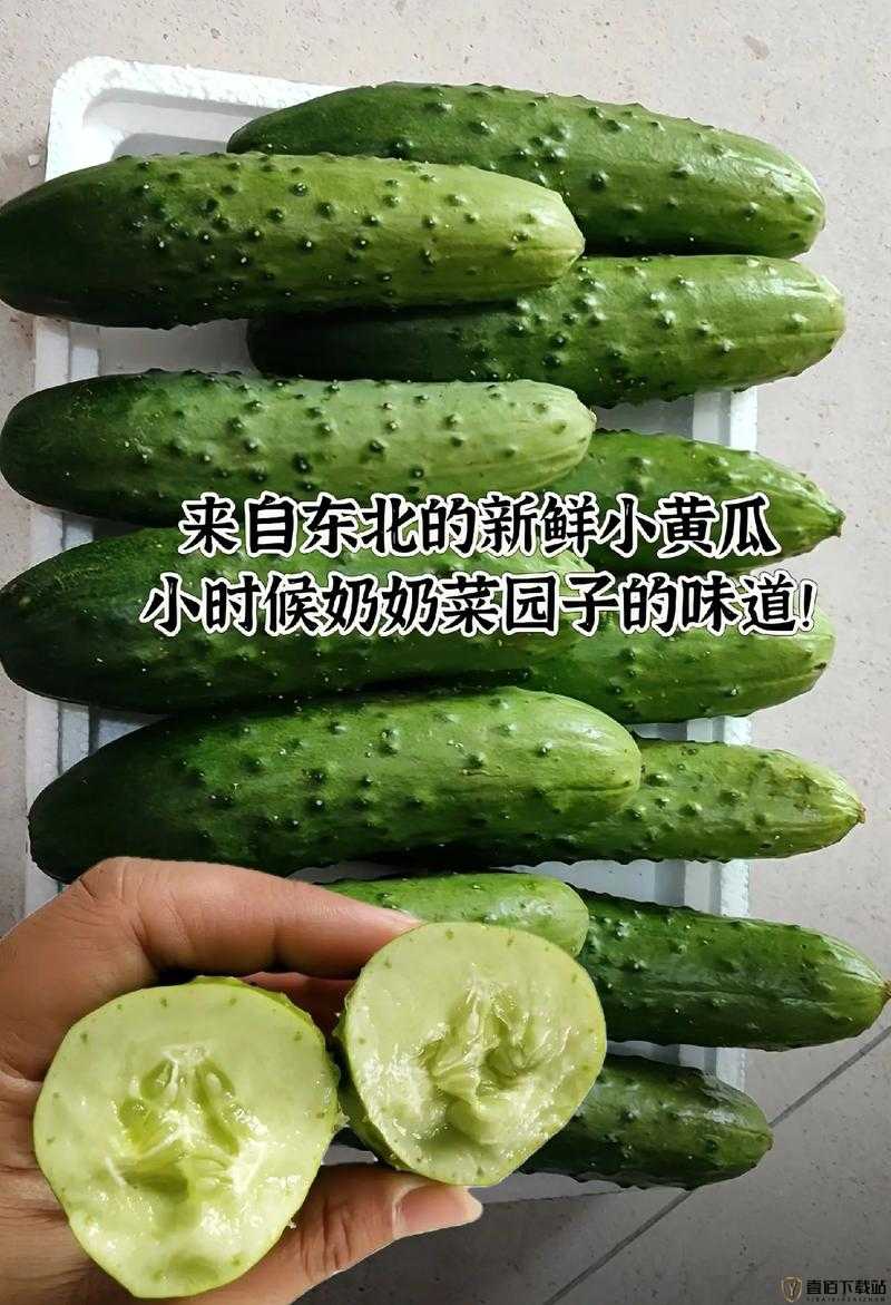 黄瓜去皮好还是不去皮好：食用建议与健康考量